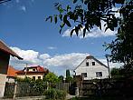 Třibřichy